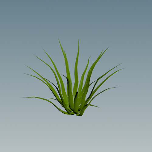 Houdini Desert Flora - Open Sourced HDAs