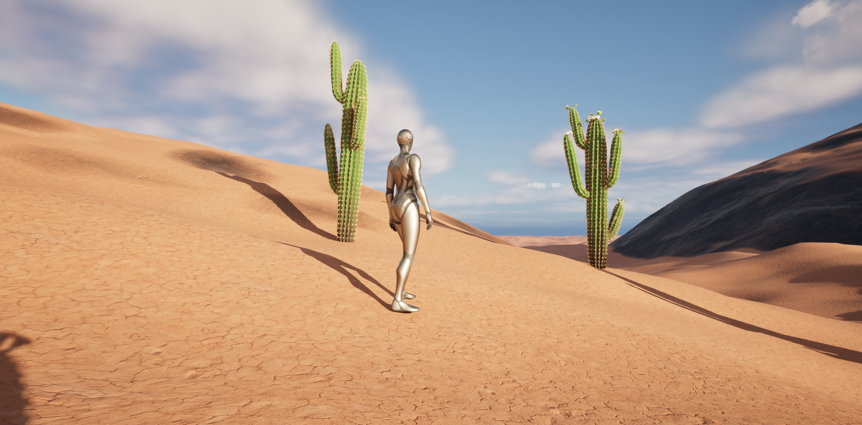 Houdini Desert Flora - Open Sourced HDAs